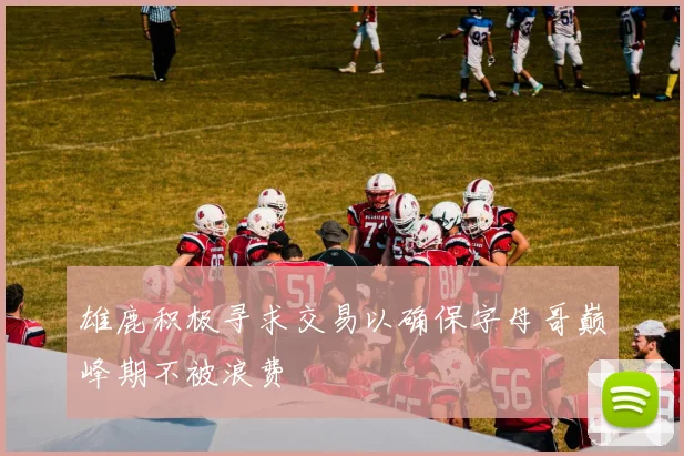 雄鹿积极寻求交易以确保字母哥巅峰期不被浪费